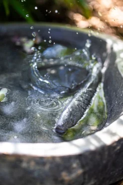 Vogeltränke 'Fisch'