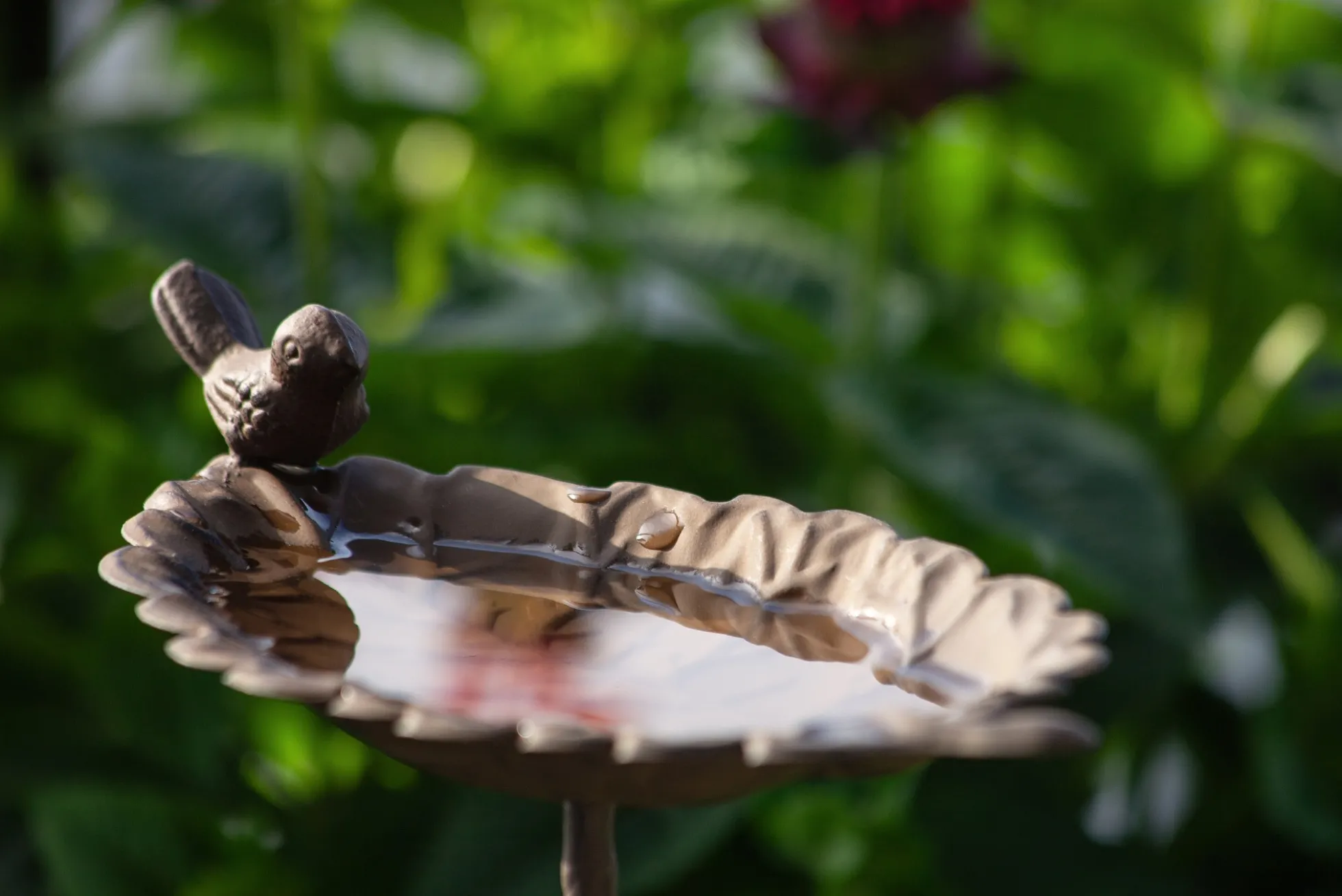 Vogeltränke 'Leaf'