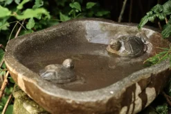 Vogeltränke 'Turtle'