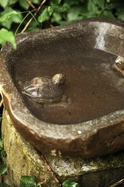 Vogeltränke 'Turtle'