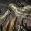 Wandhaken 'Papillon' aus Metall
