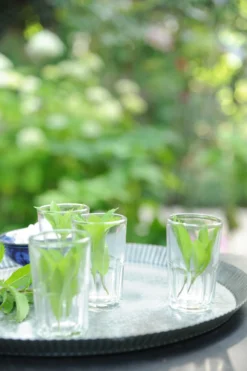 Wasserglas 'Sevam Oslo'