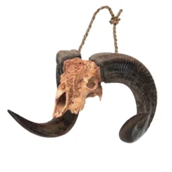 Widderschädel 'Ram'