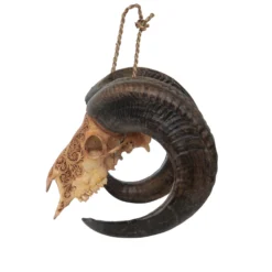 Widderschädel 'Ram'
