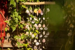Windspiel mit Muscheln