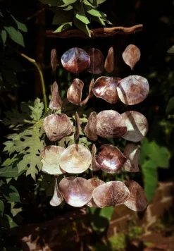 Windspiel mit Muscheln