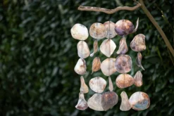 Windspiel mit Muscheln